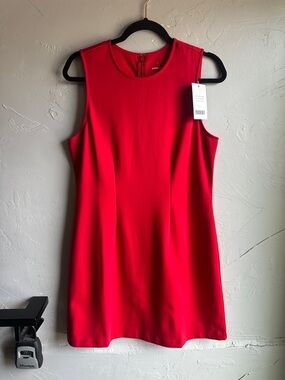 Everlane Dream 90s Shift Dress Red Minimalist Clean Girl Carolyn Bessette NWT L